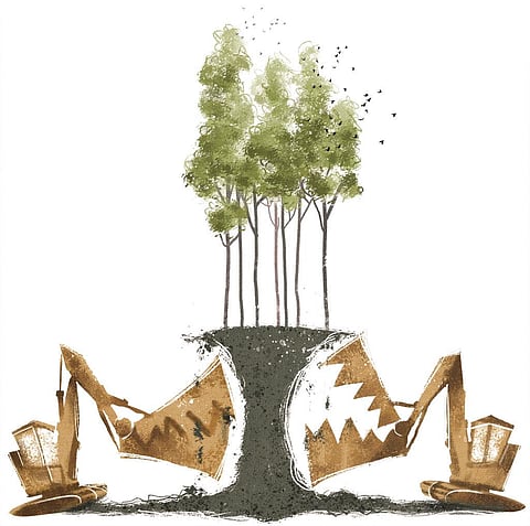 Illustration: Tarique Aziz