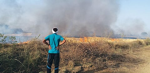 Every tonne of biochar produced from gassification can yield 600-650 litres of transport fuel. At Rs 40 per litre, this amounts to Rs 24,000- 26,000 worth of fuel per tonne of biochar. (Photo: Abhimanyu Singh)