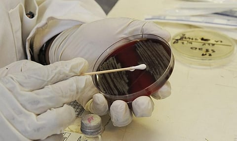 It has become necessary to quickly find out whether an infection-causing agent is resistant or susceptible to drugs. Credit: Health.mil
