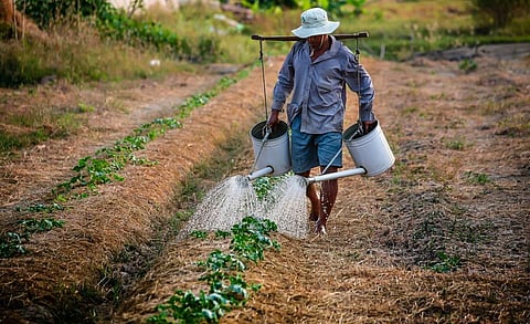 We must take into account how our water footprint is affecting the rest of the world. Credit: Pexels