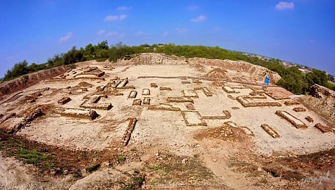 As Indus Valley Civilisation was completely dependent on agriculture, the changing cropping pattern affected the lives of the people. Credit: Wikimedia Commons