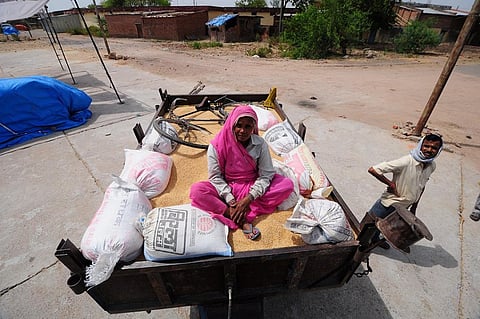 Effects of staggered northeast monsoon on sowing are already visible in Uttar Pradesh and Madhya Pradesh, two of the country’s largest wheat producing states Credit: Sayantoni Palchoudhuri / CSE