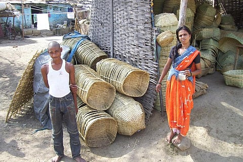 Odisha government has been hesitant to implement MSP for MFP scheme given the financial burden it has to bear. Credit: Aparna Pallavi / CSE