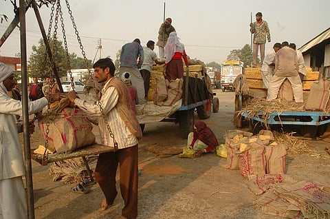 While 85 per cent of farmer households earn 9 per cent of total income, the rest earn 91 per cent. Credit: Agnimirh Basu / CSE