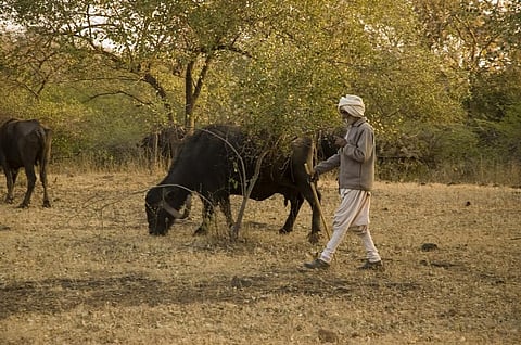 Still, permissions for development projects are given without bothering about complying with conditions for environmental clearance. Credit: Agnimirh Basu / CSE