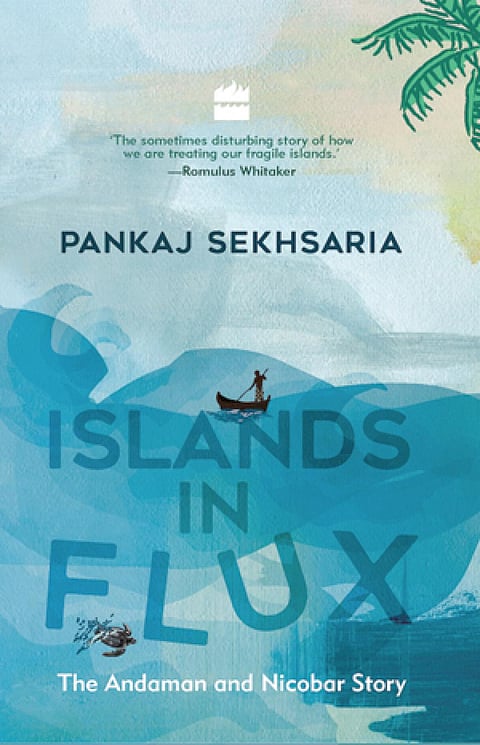 Andaman & Nicobar grapples with tourist influx, deforestation and scars of 2004 Tsunami