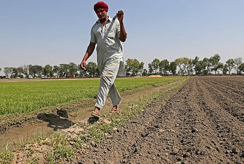 The operational cost of irrigation projects often exceeds the value of the crops produced in the land. Credit: Vikas Choudhary / CSE