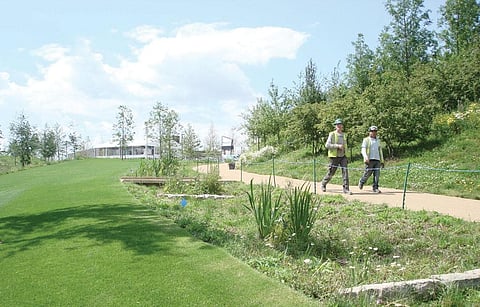 Swales like this one are low-lying depressions, usually on the sides of roads, designed to manage water run-off, filter pollutants and increase rainwater percolation (Source: Green Space Lover)