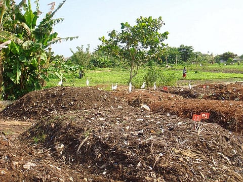 Appropriate farm waste disposal practices will help farmers tackle antimicrobial resistance. Credit: Wikimedia Commons
