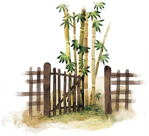 Illustration: Tarique Aziz
