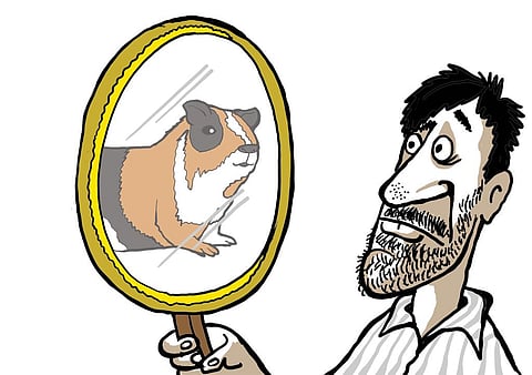 सोरित/सीएसई