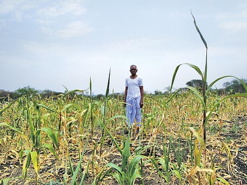 निधि जामवाल