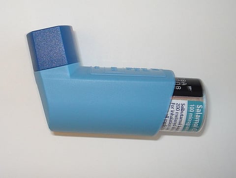 Pranlukast,a drug, destroys a specific metabolic pathway in Mycobacterium tuberculosis (Mtb), the causative agent of TB, which is crucial for its survival in human cells. Credit: allispossible.org.uk/Flickr