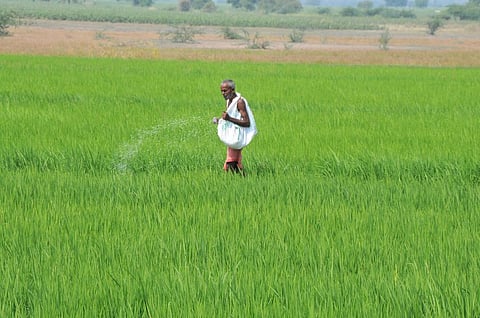 The ill-effects of pesticides and deaths related to it in our country are on the rise. Credit: Meeta Ahlawat