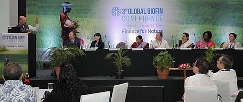 The BIOFIN conference in Chennai Credit: BIOFIN