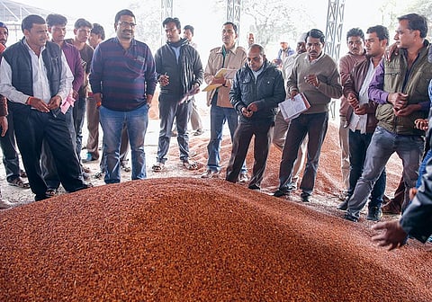 Bhavantar Bhugtan Yojana has resulted in a surge in supply of grains in mandis and a crash in prices (Photographs: Vikas Choudhary)
