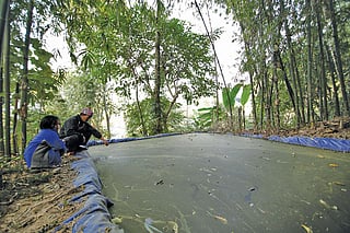 Photographs: Srikant  Chaudhary