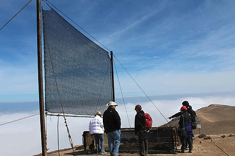 Water-scarce residents of Chile use fog net to capture humidity and turn it into potable water (Credit: Nicole Saffie)
