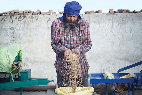 ईशानी कसेरा / सीएसई