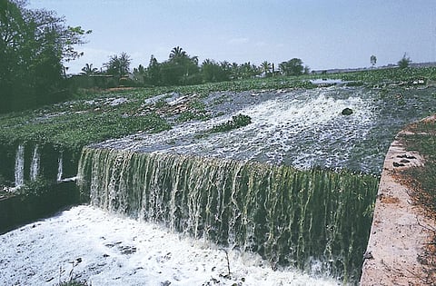 प्रदूषण तालाबों को चौपट कर रहा है। पानी लाने वाली नालियां अब इसमें घरेलू मोरियों का कचरा भरने लगी हैं (फोटो: अंजू शर्मा / सीएसई)