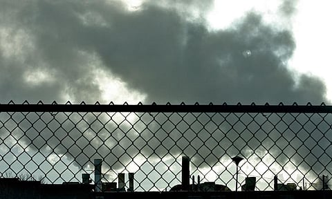 The major reasons behind declining biodiversity are pollution, increasing wealth, land transformation, and over harvesting. Credit: Tony Webster/Flickr