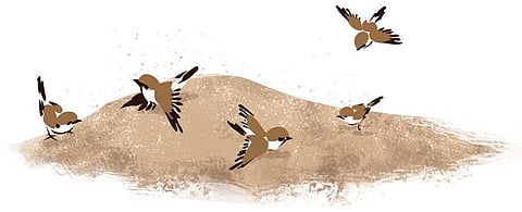 Illustration: Tarique Aziz