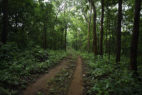 The draft policy has been criticised for diluting the safeguards for forest dwelling communities, Scheduled Tribes and Other Traditional Forest Dwellers (Recognition of Forest Rights) Act, 2006