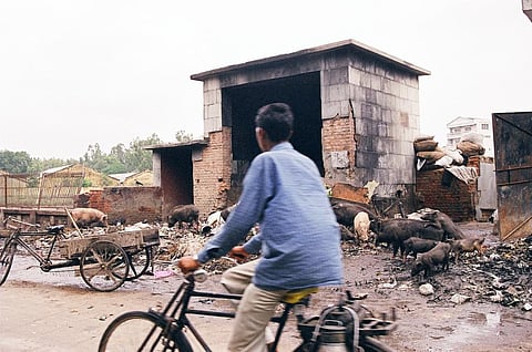 वरियाना, जालंधर में डंप साइट पर नहीं छांटा जा रहा कचरा: संयुक्त समिति रिपोर्ट