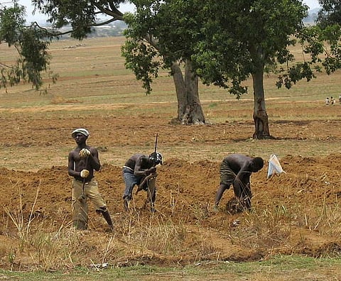 Farmers working in a field in central Nigeria Credit: Wikimedia Commons