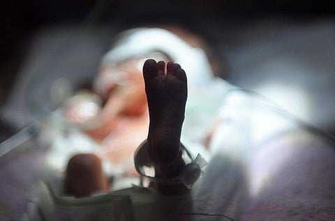 Preterm infants – those delivered prior to the normal 37 weeks of gestation – are more likely to succumb to life-threatening infections when compared to those born after a normal gestation. Credit: ashton/Flickr