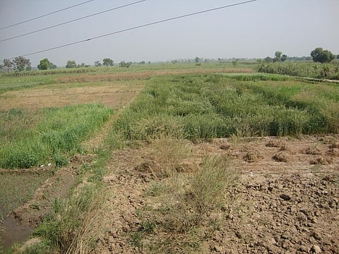 The study highlights the role of waste from food and animal farming contributing to the spread of antimicrobial resistance in the environment.Credit: Mohd Shehfar/CSE