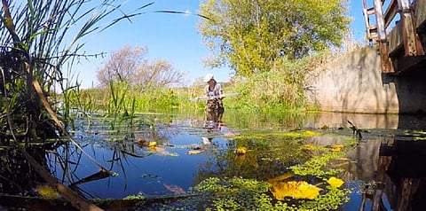 Instead of investing those millions in more intensive phosphorus removal, the district decided to go after unregulated sources of phosphorus into the watershed from agriculture and urban and suburban runoff. Photo courtesy of Yahara WINS