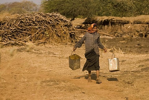 We need a forest policy that recognises the potential of people to grow, manage and use forests sustainably. Credit: Agnimirh Basu