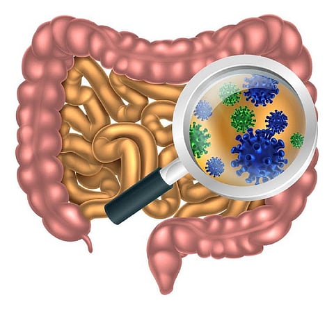 Though examining poop samples scientists working on the American Gut Project are getting a new perspective on the microbes in our guts. By Christos Georghiou/Shutterstock.com