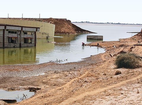फोटो : विकास चौधरी / सीएसई