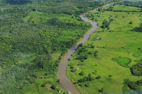 South American forests may be more vulnerable to rising CO2 than those in Asia or Africa. Credit: Golden Saint International / Flickr
