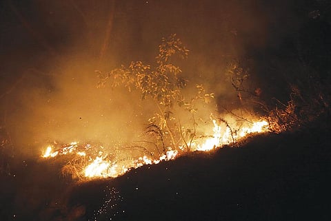 विकास चौधरी / सीएसई