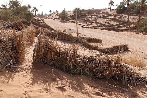 Curbing desertification is as critical as mitigating impact of climate change. Credit: Richard Allaway / Flickr