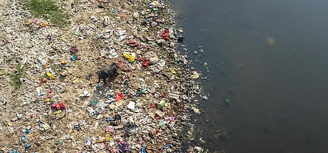 India's plastic consumption increases at over 10 per cent year-on-year