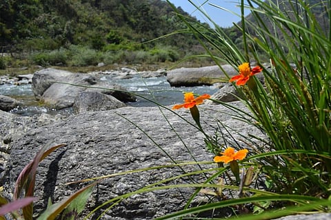 The Tenga river valley in Arunachal Pradesh, one of the world’s last unexplored biodiversity hotspots (All photos by Chandan Kumar Duarah)