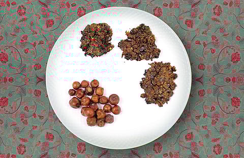 The tree is drought-resistant and the fruit has many medicinal properties (Photo: Sunny Gautam)