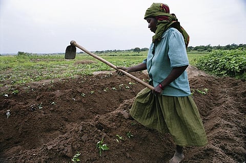 Many African countries lack capacity, knowledge and experience to plan and implement sustainable soil management programmes. Credit: Wikimedia Commons