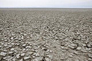 Make 17 June, the celebration of the World Day to Combat Desertification and Drought, your date with nature. Credit: Wikimedia Commons