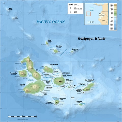 A map of the Galapagos Archipelago showing Fernandina islands where the volcano has exploded Credit: Wikimedia Commons