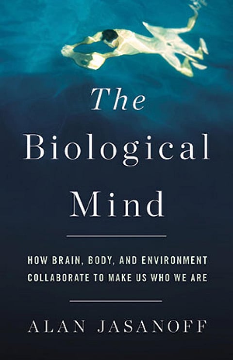 The Biological Mind: How Brain, Body, and Environment Collaborate to Make Us Who We Are 
Alan Jasanoff 
Basic Books | 304 pages | US $19.49