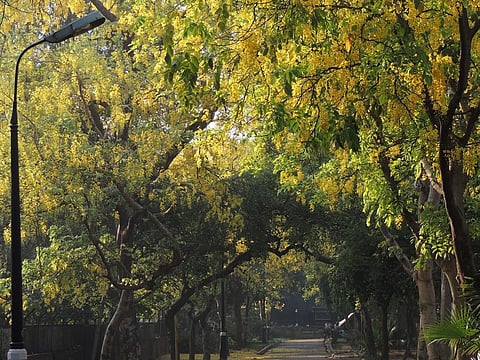 Credit: Wikimedia Commons