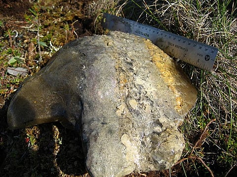 A chunk of thawing permafrost Credit: Wikimedia Commons