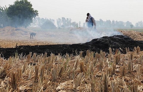 Crop residue burning  in North India can impact Maharashtra, Madhya Pradesh, Telangana, Chattisgarh and even parts of Odisha. Credit:Vikas Choudhury /CSE