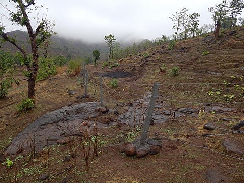 The forest department is undertaking steps to build a fence around dug up lands to prevent adivasi forest dwellers from accessing land claimed under FRA. Credit: Authors
