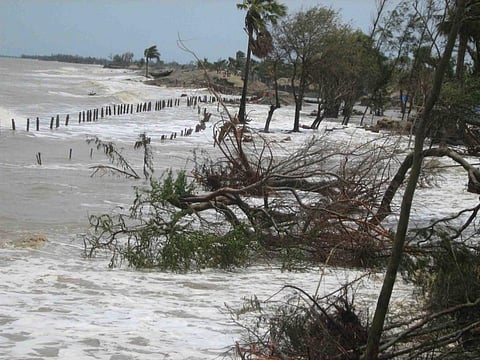Inflow of tidal waters, Mousuni island, Sundarbans
© Arjun Manna/WWF-India